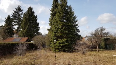 Makler Immobilien Birkenwerder Oberkrämer